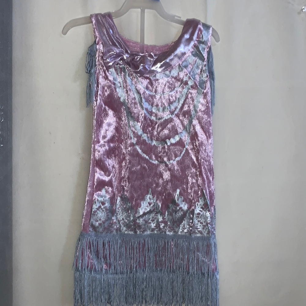 incharacter costumes - Fancy Flapper - Pink/Gray Dress only - Size 4 EUC